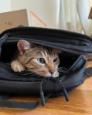 Your work has been approved by the supervisor's supervisor!