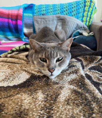 Your work has been approved by the supervisor!